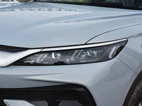 2026�� DM-i 220KM��Խ��