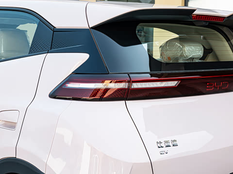 2026�� 305km ���ɰ�