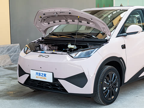 2026�� 305km ���ɰ�