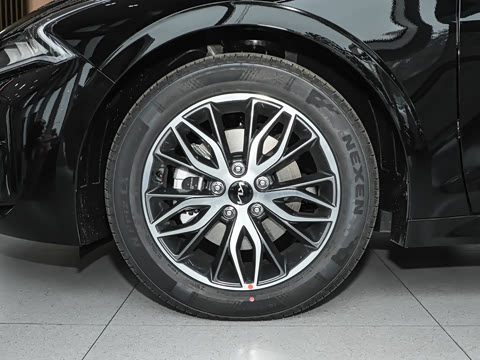 2025�� 1.5T ������