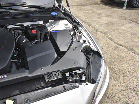 2026�� B4 ��Զ������