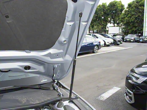 2025�� 55 TFSI quattro ������