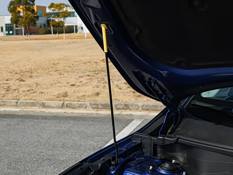 2026�� ���������