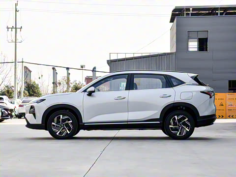 2026�� ������ ������