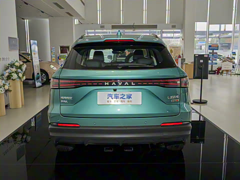 2025�� Hi4 165 Plus ��������