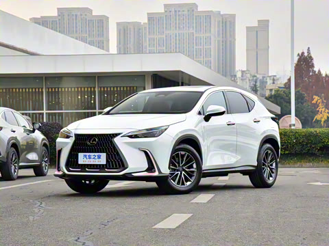 �׿���˹ �׿���˹NX