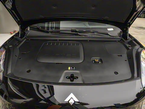 2025�� �Ŀ� 350 Max���������״��