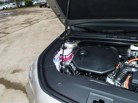 2026�� 60km̽����