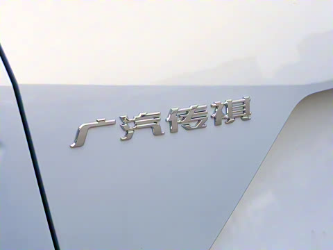 2026�� Ӱ�� 270T ������