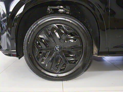 2025�� 520 Max������