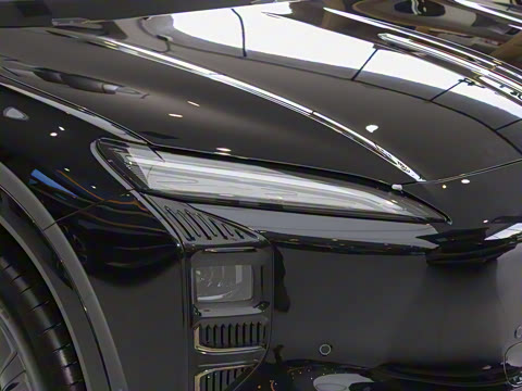 2025�� 520 Max������