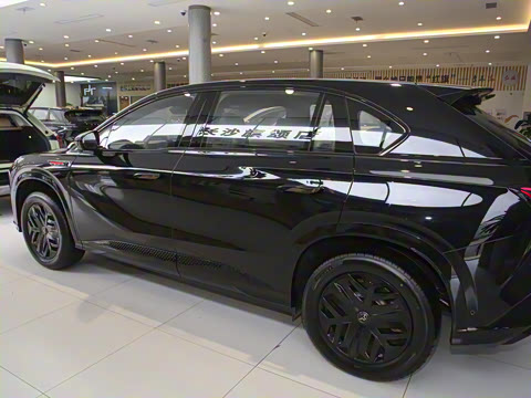 2025�� 520 Max������