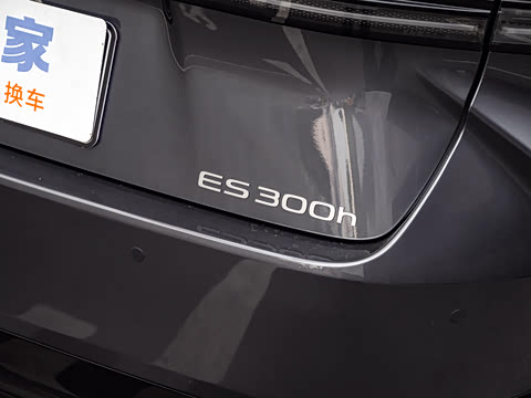2026�� 300h