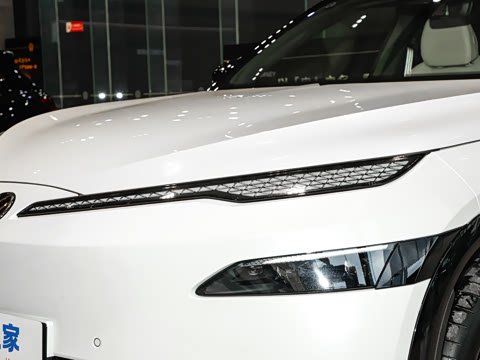 2026�� ����� ����