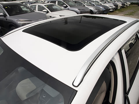 2026�� DM-i 210KM������