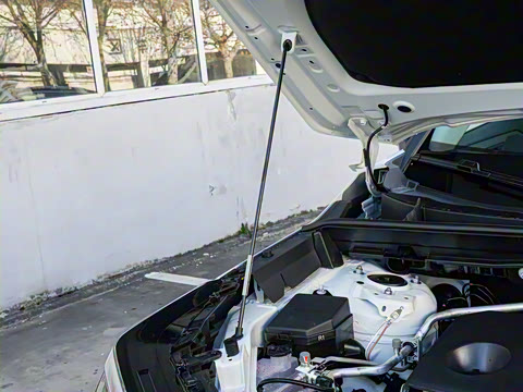 2026�� 2.0L ����������