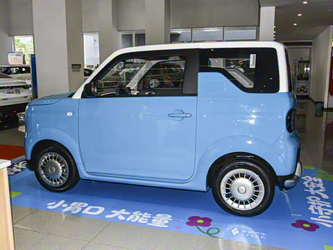 2025�� ������