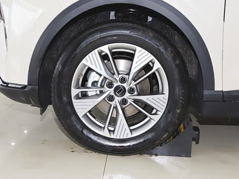 2026�� 565km ������