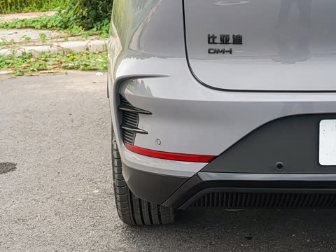 2025�� �Ǽݰ� DM-i 175KM ������