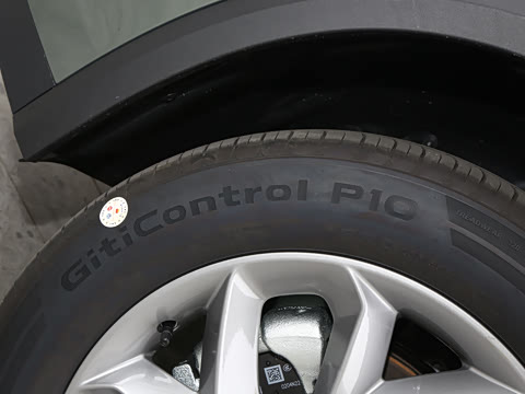 2025�� 2.0TD �������°�