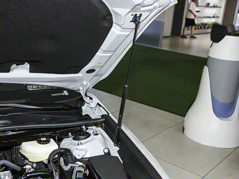 2026�� ˫�� 2.0HGVP ������