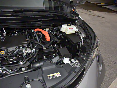 2026�� 2.5L�춯 ���PLUS������