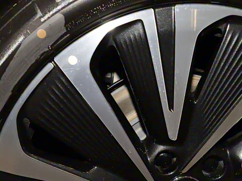 2025�� ������