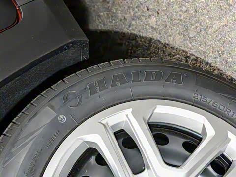 2025�� 1.5L ������