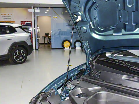 2026�� ֿ���� 330 Ultra