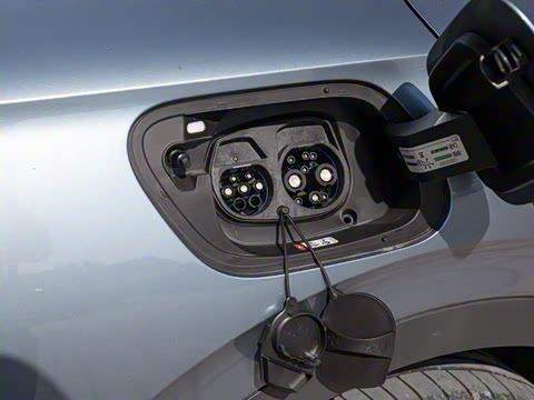 2026�� ������PURE