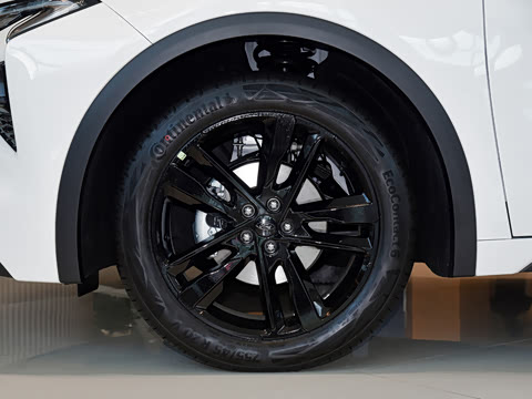 2026�� 2.0T EcoBoost E �춯 �˶���