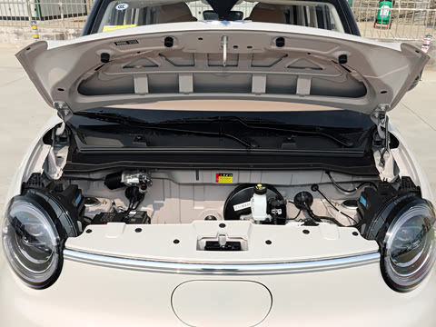 2026�� ����� 205km ������