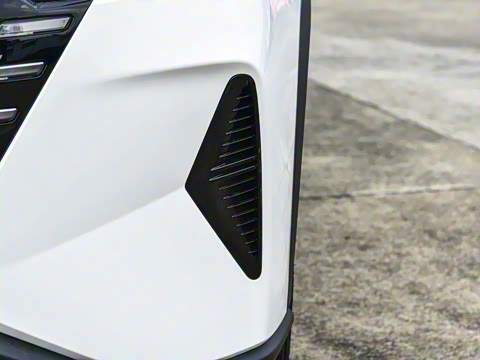 2025�� 290T ��������+