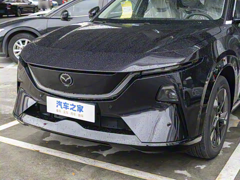 2025�� ����600 Pro