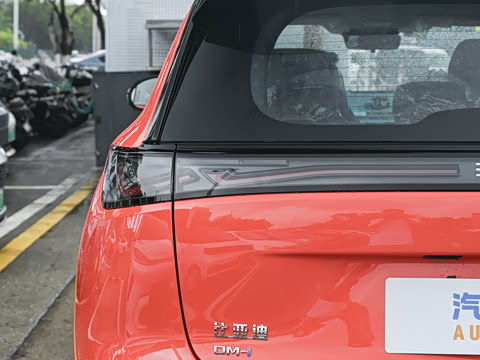 2026�� DM-i 305�Ǻ���