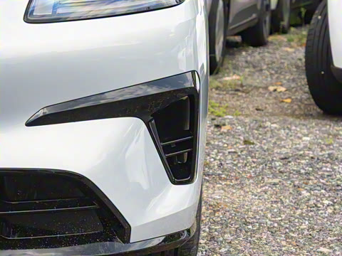 2026�� 520�Ǻ���