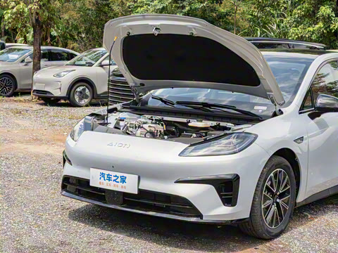 2026�� 520�Ǻ���