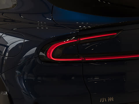 2025�� ������������Pro��