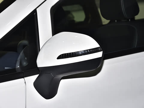 2025�� 2.0L CNG��Ӣ�� 9��