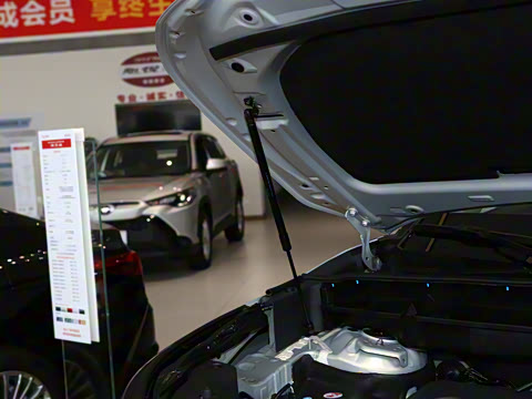 2026�� 2.5L���ܵ��˫��������Ӣ�� 5��