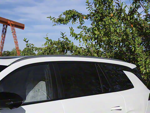 2026�� �������������