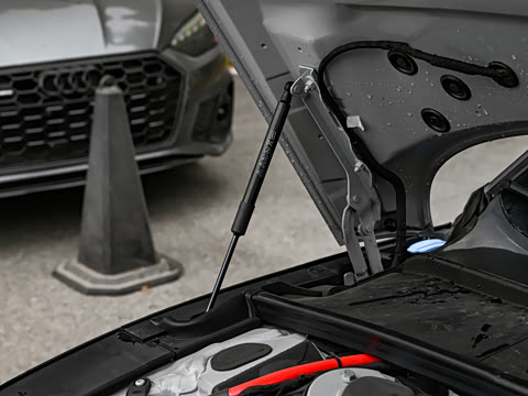 2024�� RS 5 2.9T Coupe ȼ���