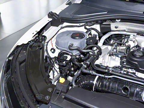 2026�� Pro 300TSI �������