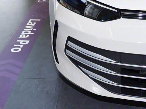 2026�� Pro 300TSI �������