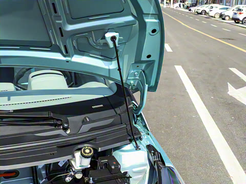 2026�� PLUS+ ������