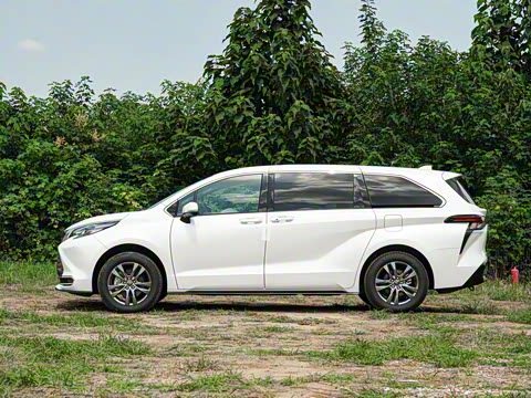 2026�� 2.5L ˫������������