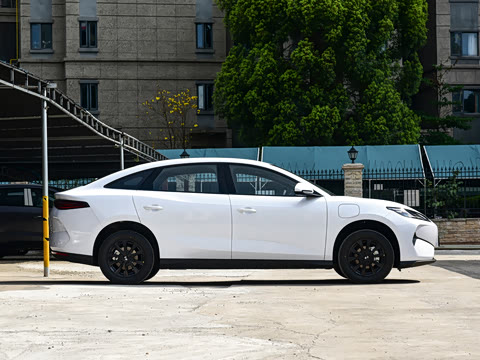 2026�� �����