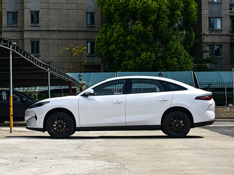 2026�� �����