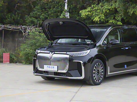 2026�� EV ����Max