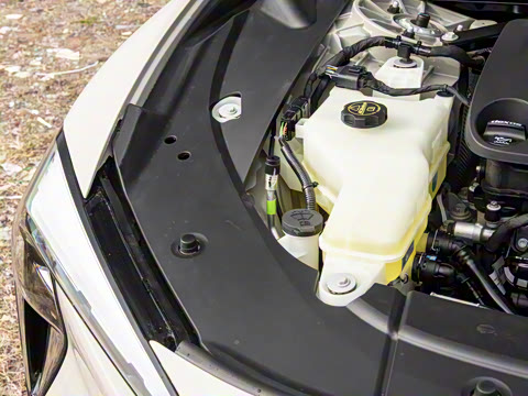 2025�� ������ң���а�